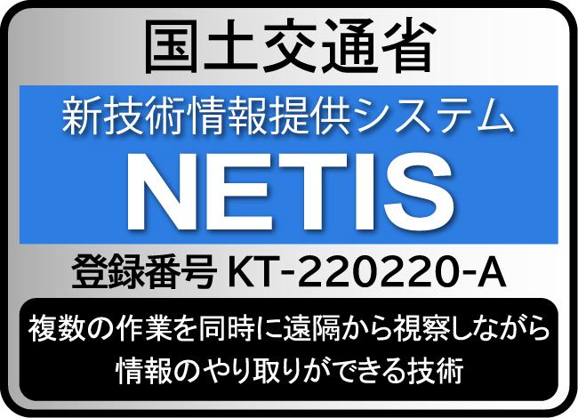 NETIS